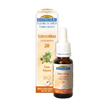 Ef Scleranthe 20 Ml