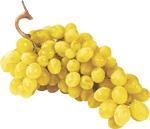 Raisin Muscat Blanc De France Par 500g