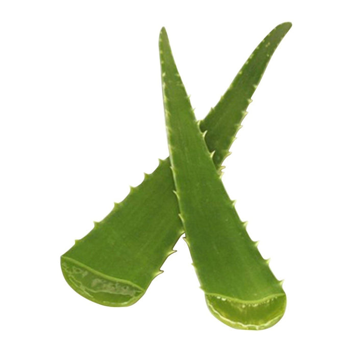 Aloe Vera De France à La Pièce