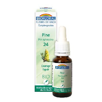 Ef Pin Sylvestre 20 Ml